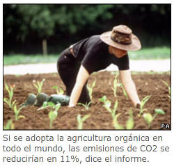 Si se adopta la agricultura orgánica en todo el mundo, las emisiones de CO2 se reducirían en 11%, dice el informe.